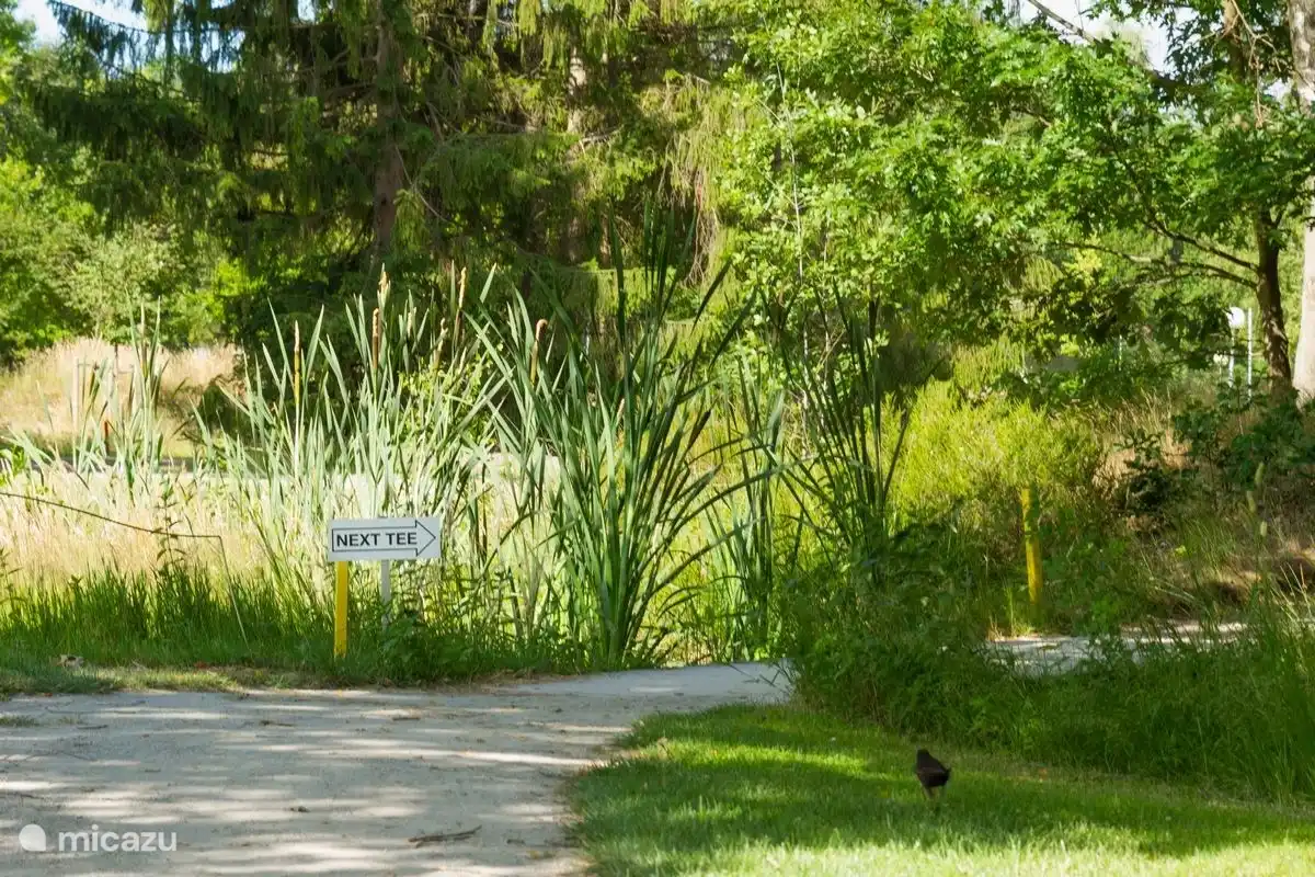 Der Weg in der Nähe des Ferienhauses