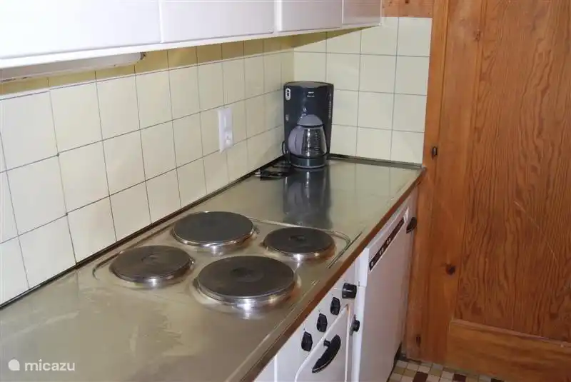Simple kitchen with electric stove and oven, dishwasher, microwave oven, refrigerator and other electrical equipment.
