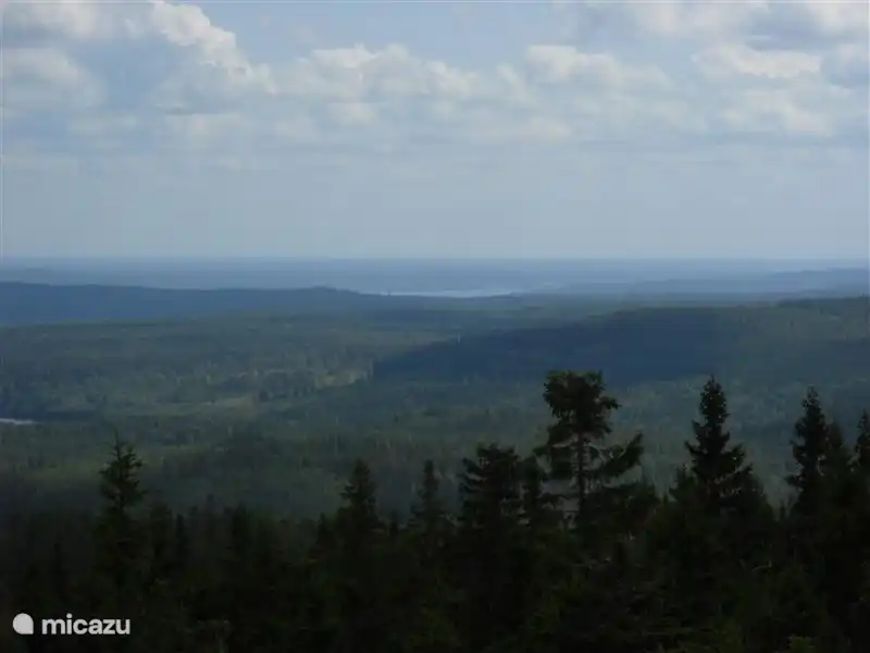 View from a lookout tower in the Kindla Nature Reserve.