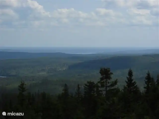 Rosenlund | Suède, Örebro, Gusselby - maison de vacances Vue depuis une tour d’observation dans la réserve naturelle de Kindla.