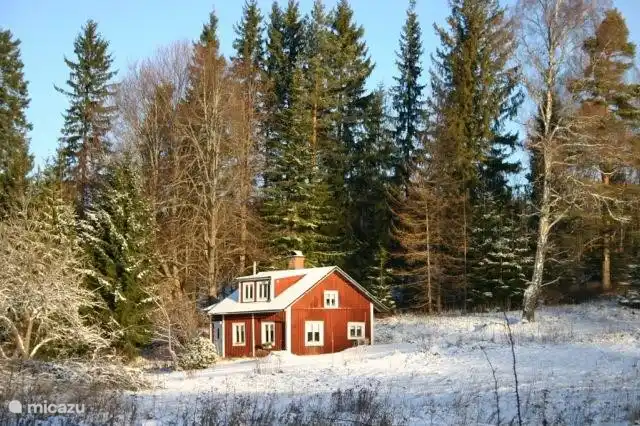The house on the edge of a forest in winter