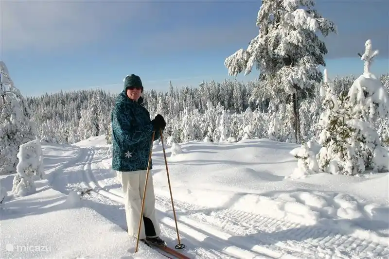 Cross-country skiing on the trails nearby.