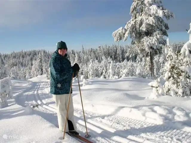 Rosenlund | Suède, Örebro, Gusselby - maison de vacances Ski de fond sur les sentiers à proximité.