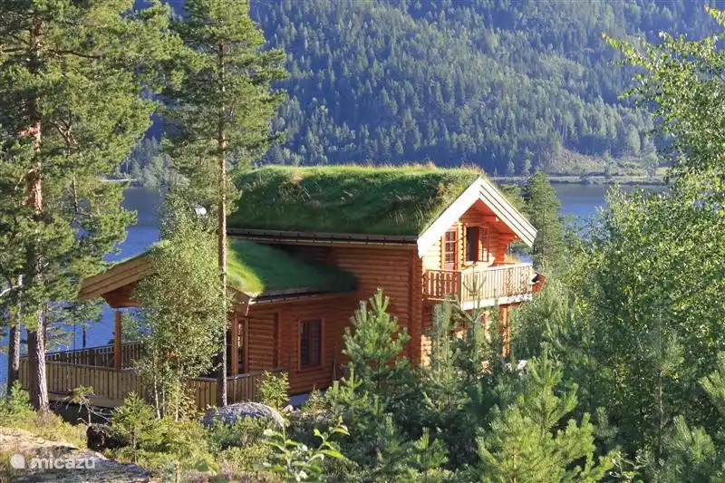 Cottage avec la véranda spacieuse, l'herbe sur le toit et un terrain spacieux autour d'elle !