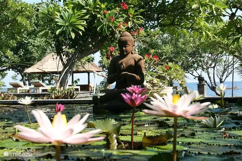 This is our pond, around the pavilion with dining table