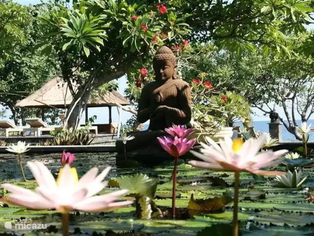 Location de Vacances Indonésie, Bali, Pemuteran, villa - Villa Sémadhi C'est notre étang, autour du pavillon avec la table à manger