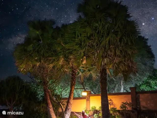 Location de Vacances Indonésie, Bali, Pemuteran, villa - Villa Sémadhi Hamac dans le jardin sous le ciel étoilé.