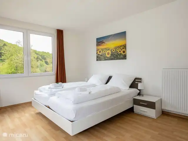 Villa Sorpe Winterberg Sauerland huren in Duitsland, Sauerland, Winterberg - vakantiehuis