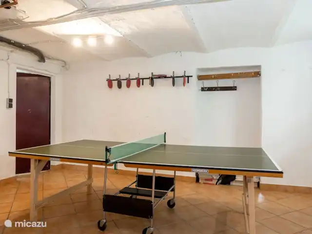 Villa Sorpe Winterberg Sauerland huren in Duitsland, Sauerland, Winterberg - vakantiehuis