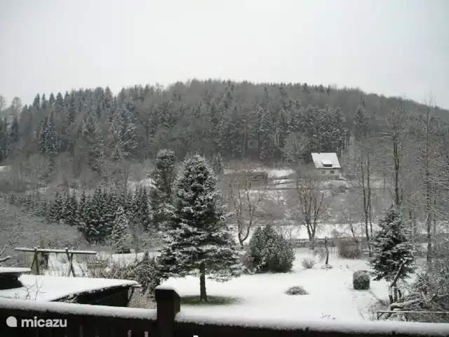 Villa Sorpe Winterberg Sauerland huren in Duitsland, Sauerland, Winterberg - vakantiehuis