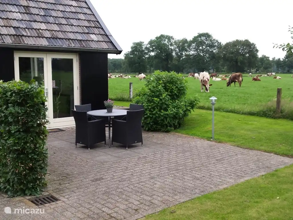 Terras Noord met uitzicht in Noordelijke richting.