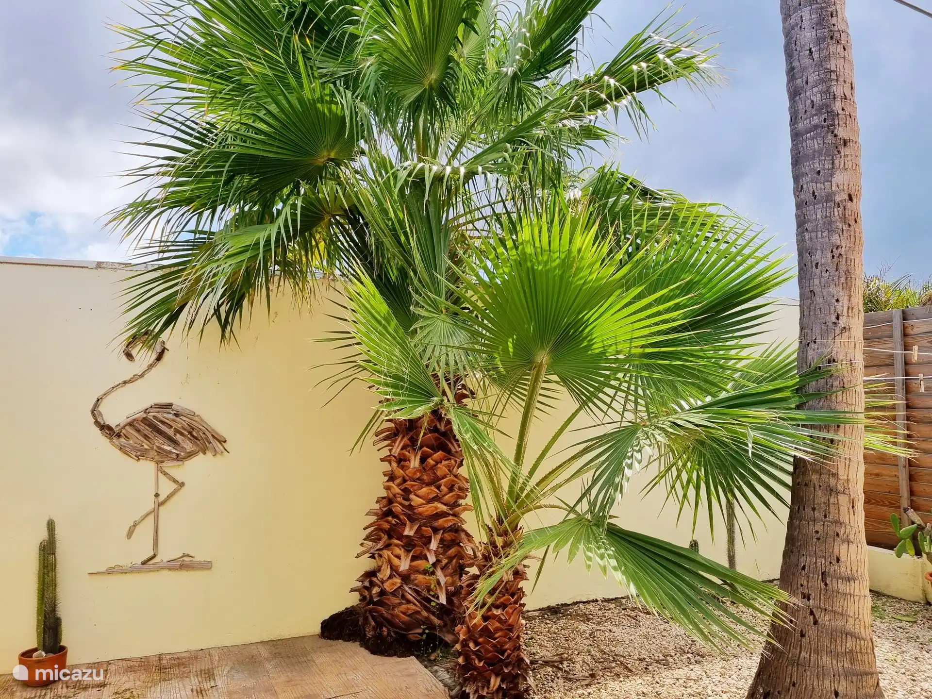 Hintere Terrasse mit Wandkunst aus Treibholz