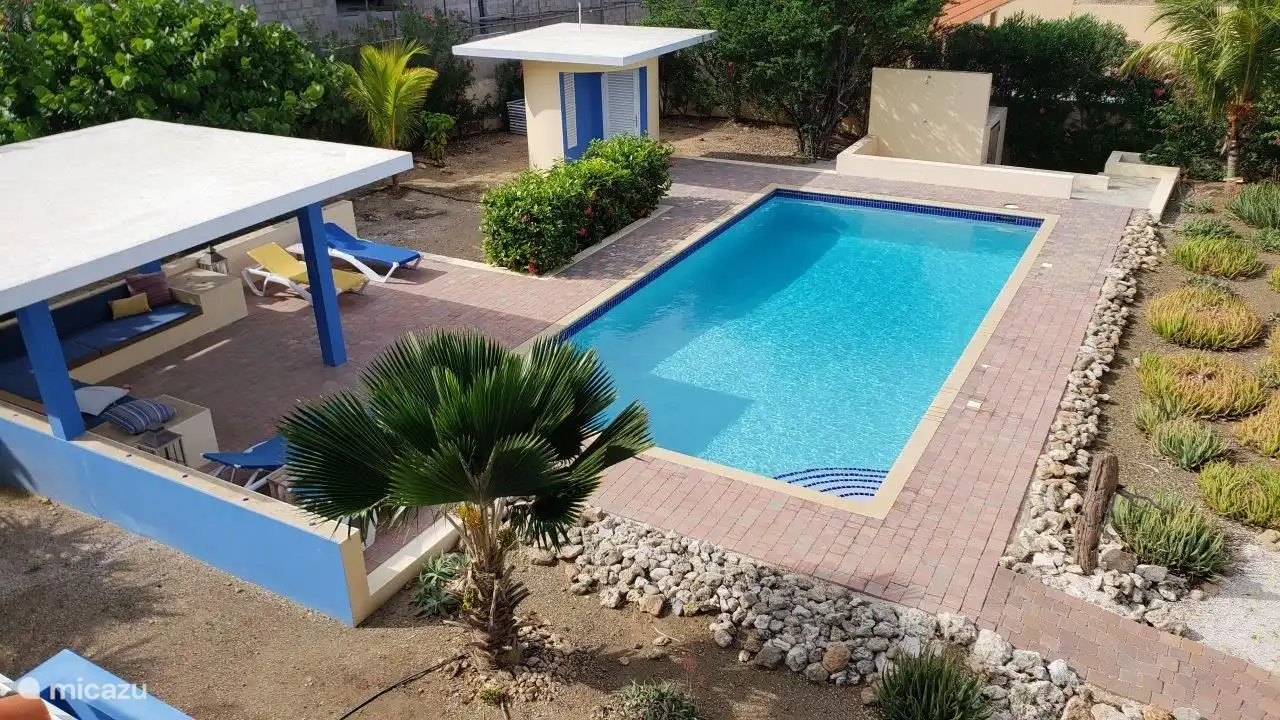 Blick auf den neuen Loungebereich und das Toillet am Pool