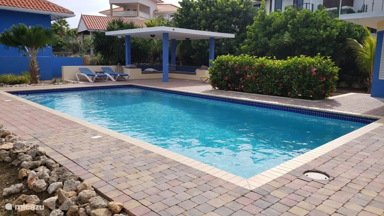 Das großzügige Schwimmbad 
