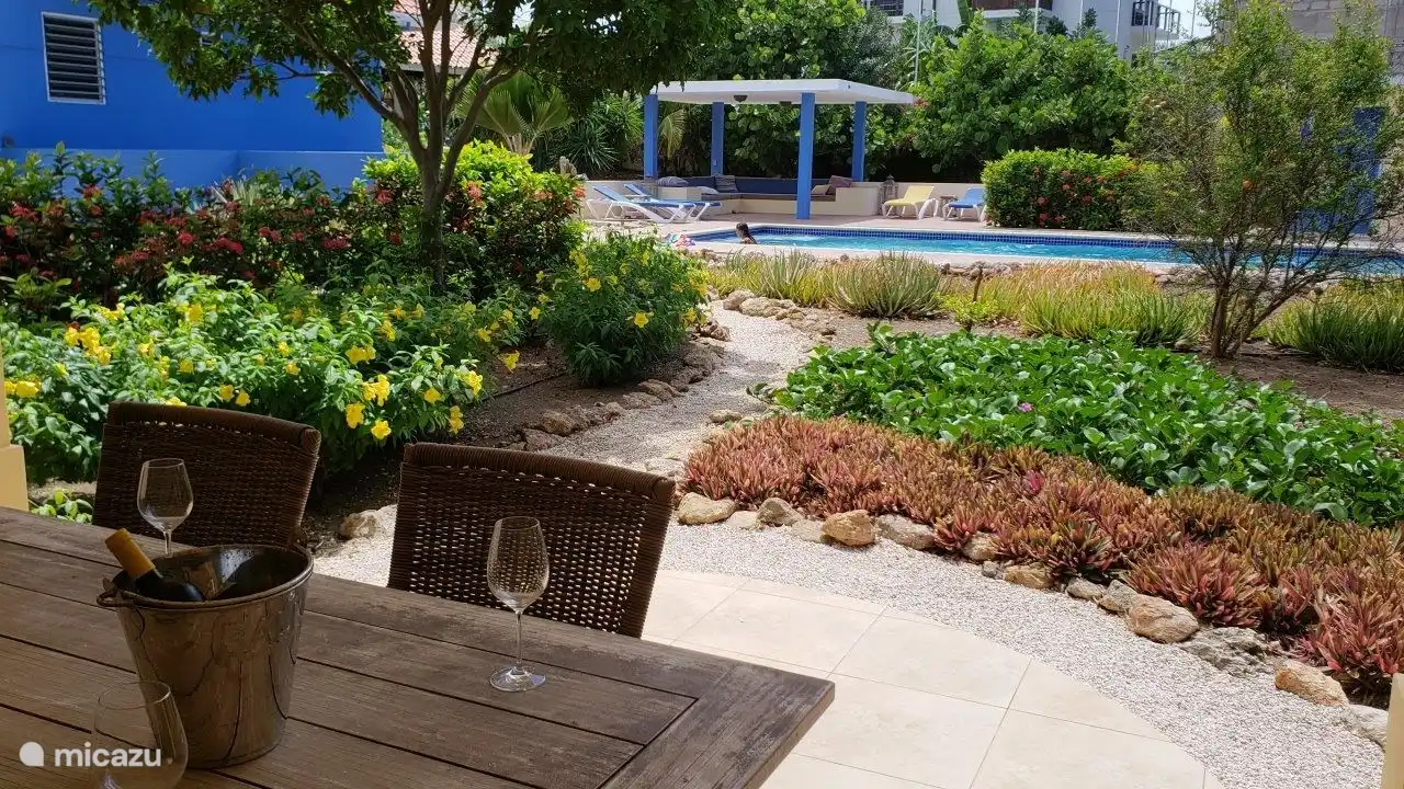 Blick auf den Garten und den Pool von der Villa