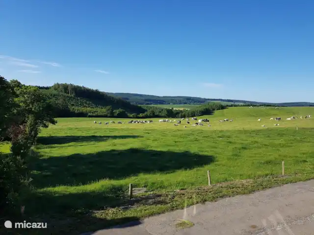 Location de Vacances Belgique, Ardennes, Tenneville, ferme - La Luna Ardennes -Wifi Vue de la ferme