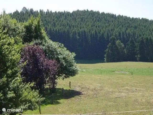 Location de Vacances Belgique, Ardennes, Tenneville, ferme - La Luna Ardennes -Wifi Perspective