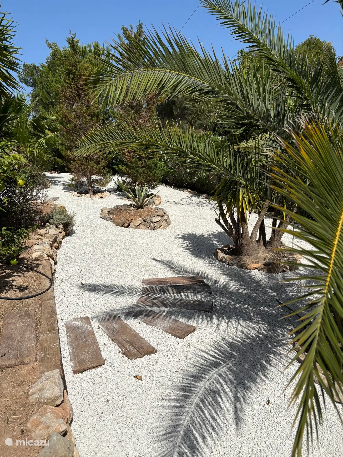 Garten im Erdgeschoss. 