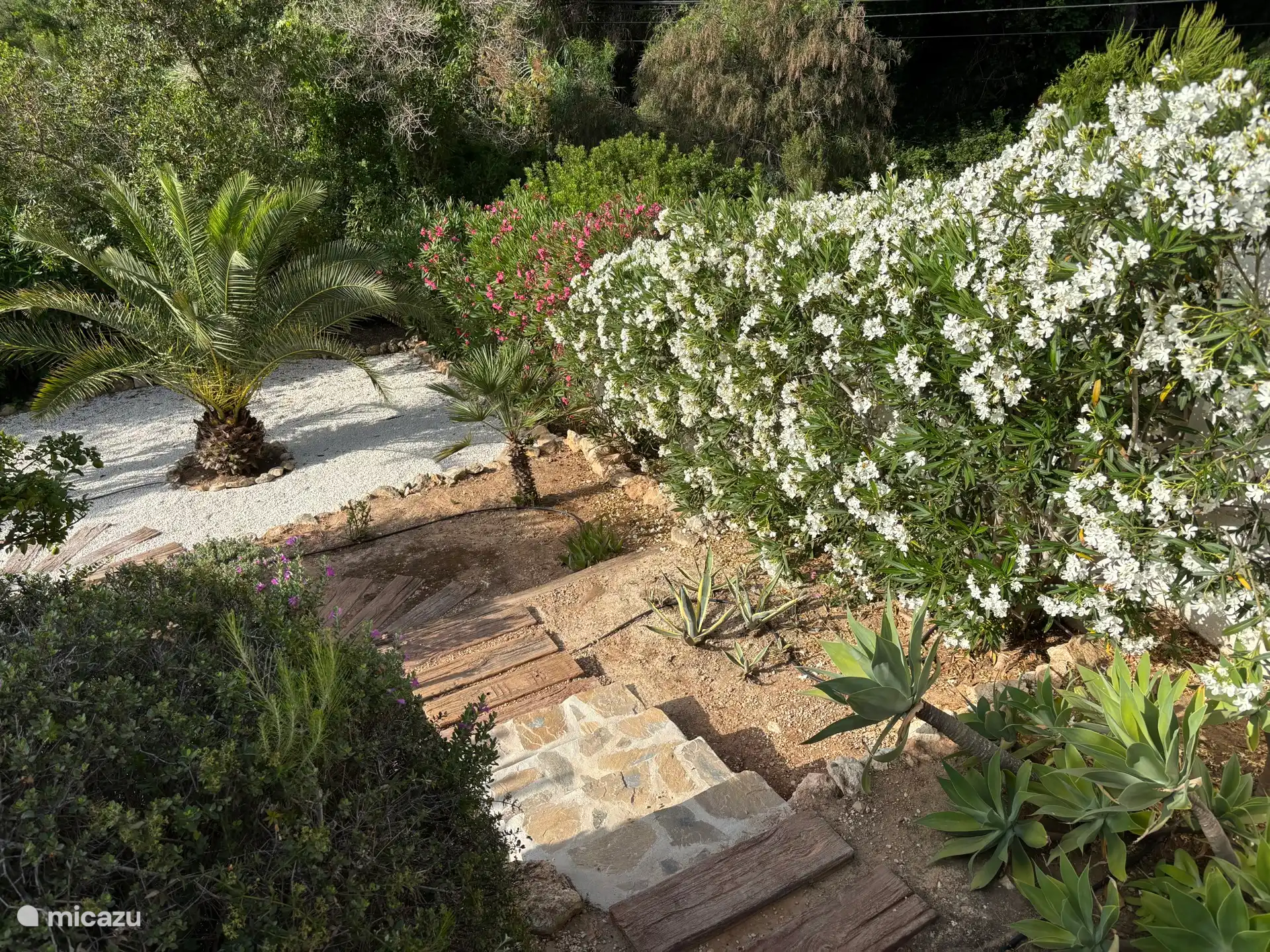 Garten im Erdgeschoss.