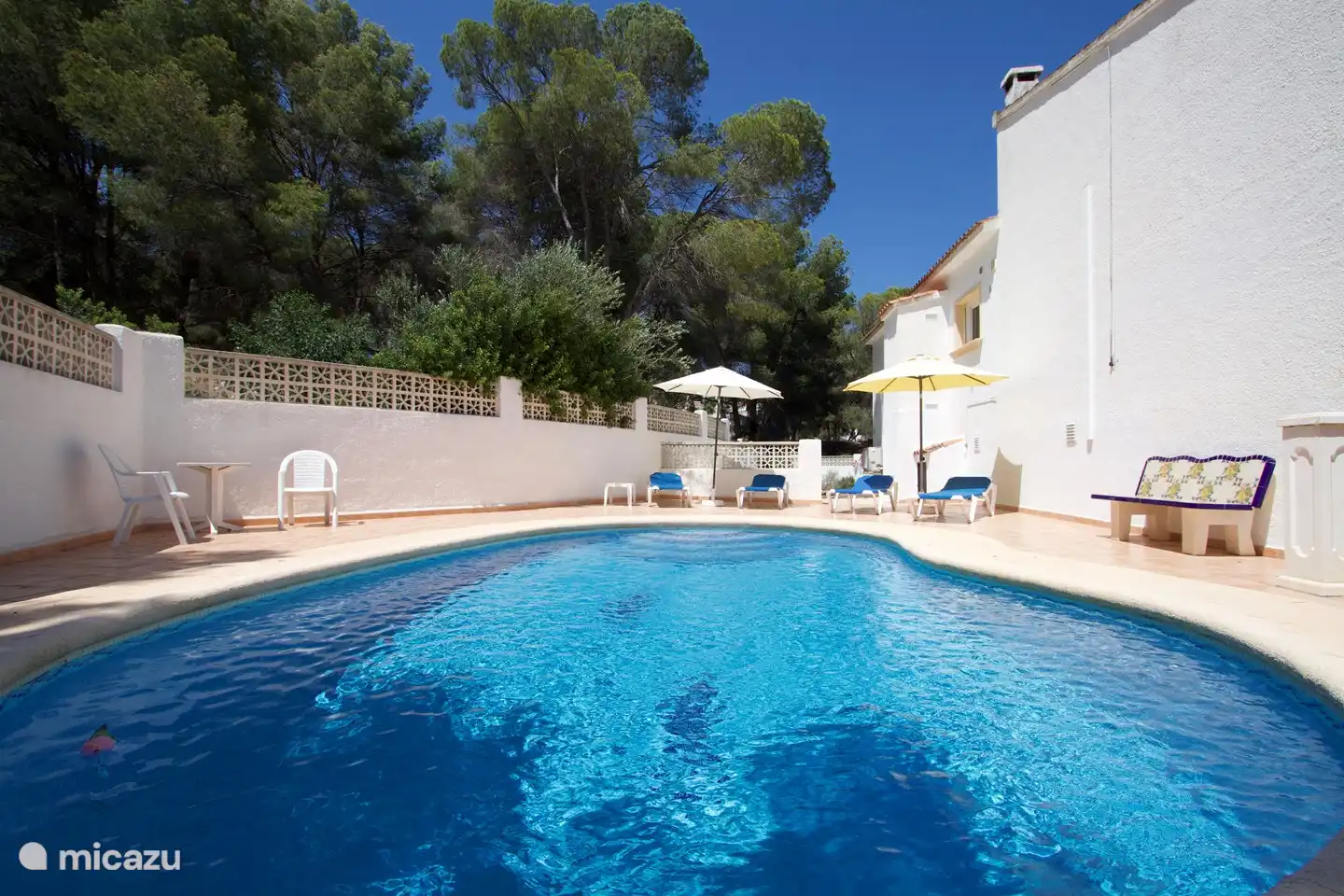 Zwembad met ligbedden.