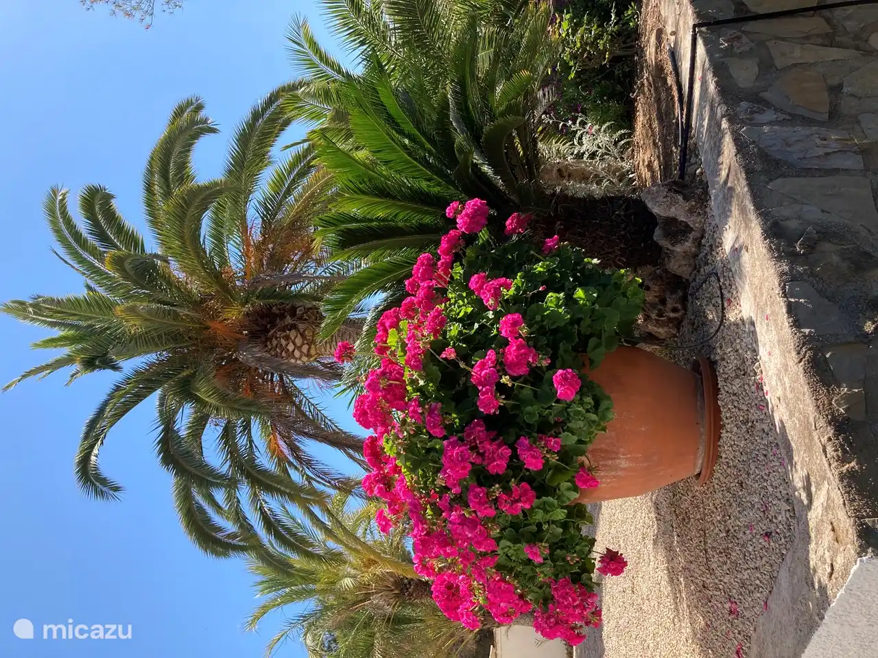 Subtropischer Garten.