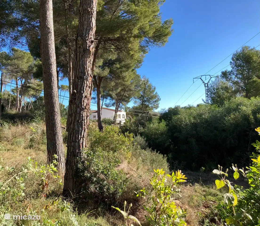 Das Grundstück neben der Villa.