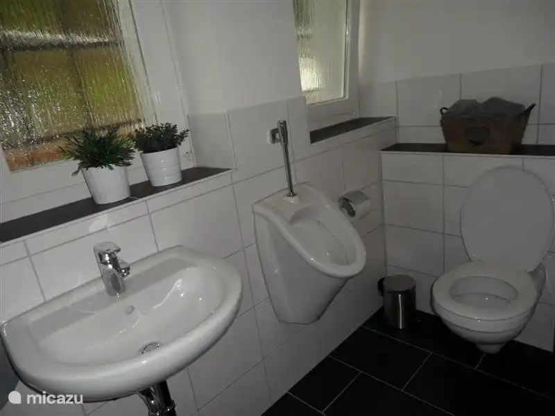 En la planta baja: aseo, urinario y lavabo.