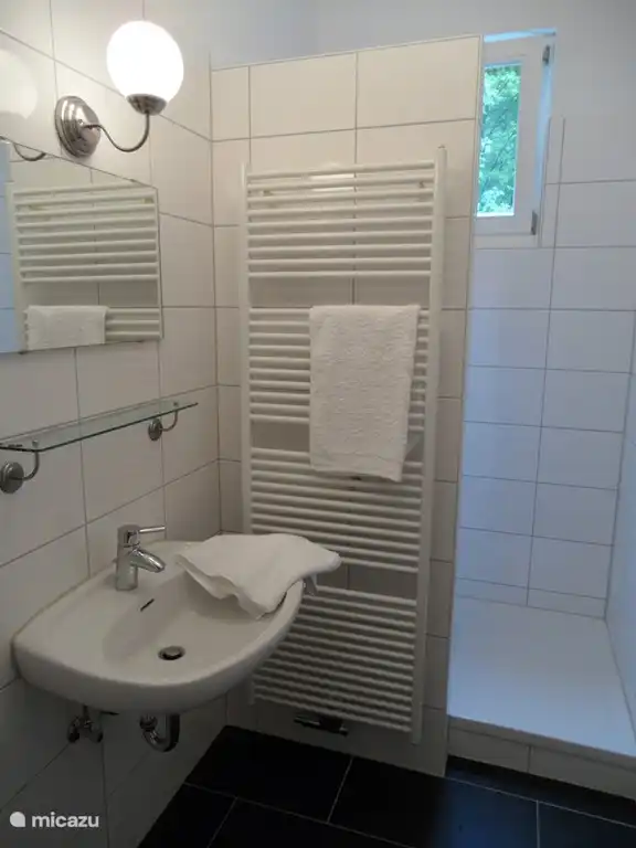 El ba&#241;o en el primer piso. Con amplia ducha y lavabo. Tambi&#233;n hay un ba&#241;o separado en este piso.