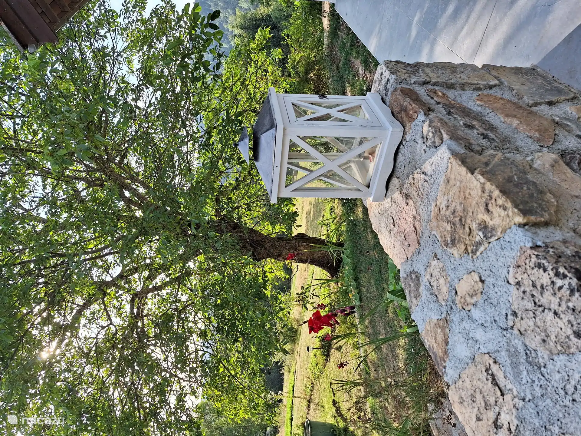 Het terras aan de voorzijde met zicht op de notenboom.