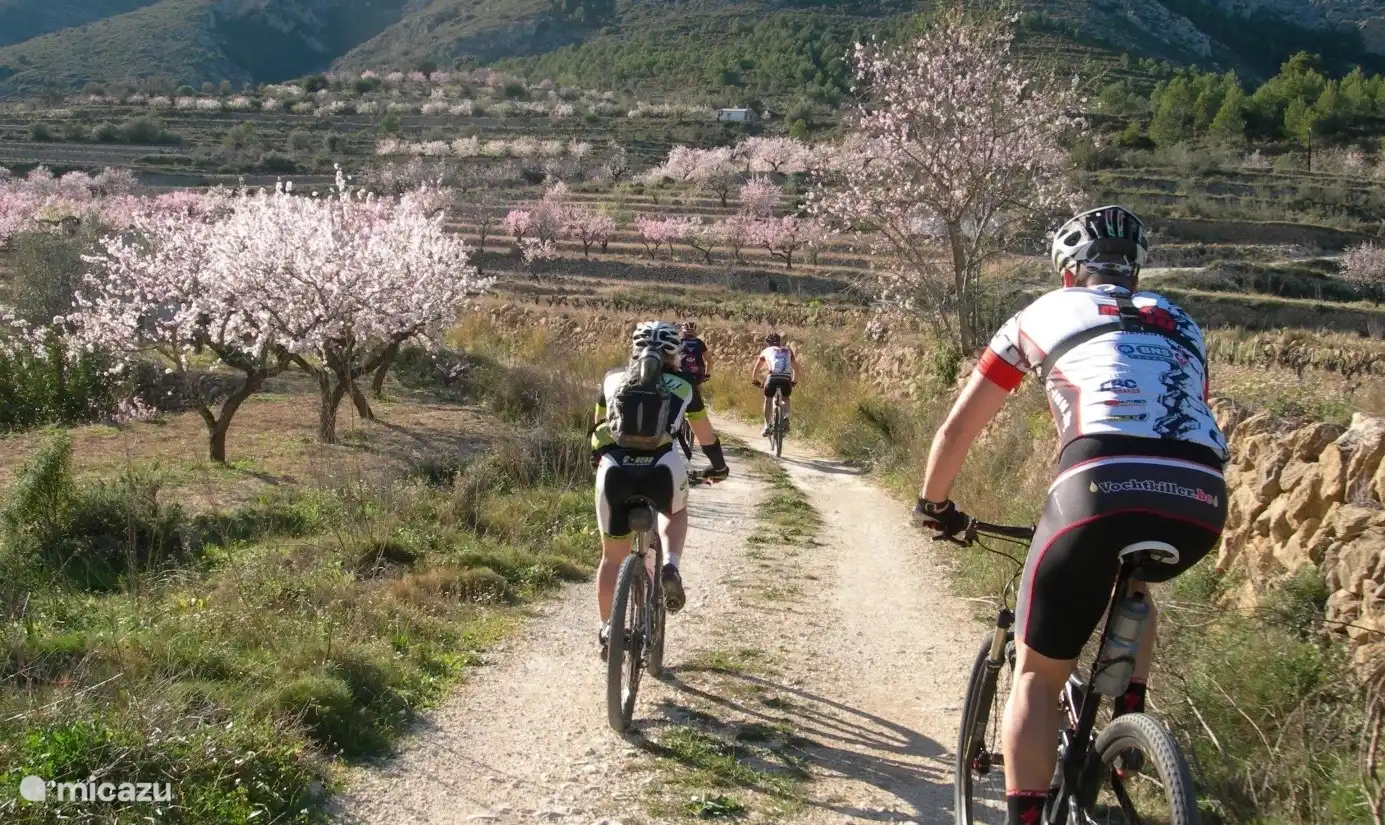 Sie können auch gerne Rad fahren, zum Beispiel im wunderschönen Hinterland - dem Jalon-Tal.