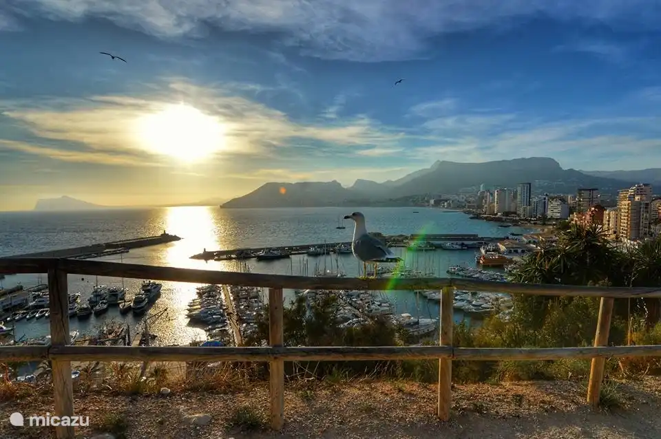 Und für die Geübteren – wandern Sie auf die Spitze des Felsens von Calpe (Ifach).