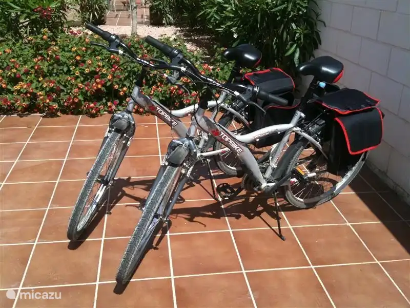 Hay un excelente ciclismo en la zona, hay dos listos para ti, y Quesada tiene un taller de reparación de bicicletas escocés bien surtido que alquila bicicletas.Elige uno de los muchos carriles para bicicletas [incluida la vía verde, los caminos verdes, por ejemplo, a lo largo de la Río Segura al mar].