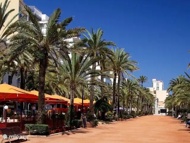 Villa Botman en España, Costa Blanca, Algorfa - villa Bonito paseo por la avenida de las palmeras..