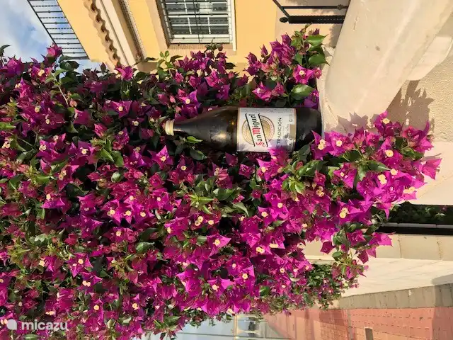 Después de un día en la playa, o en bicicleta, o caminando, o de compras, o..entonces una cerveza San Miguel sabe muy bien..!