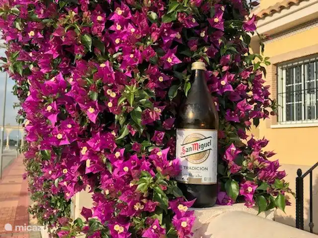 Villa Botman en España, Costa Blanca, Algorfa - villa Después de un día en la playa, o en bicicleta, o caminando, o de compras, o..entonces una cerveza San Miguel sabe muy bien..!