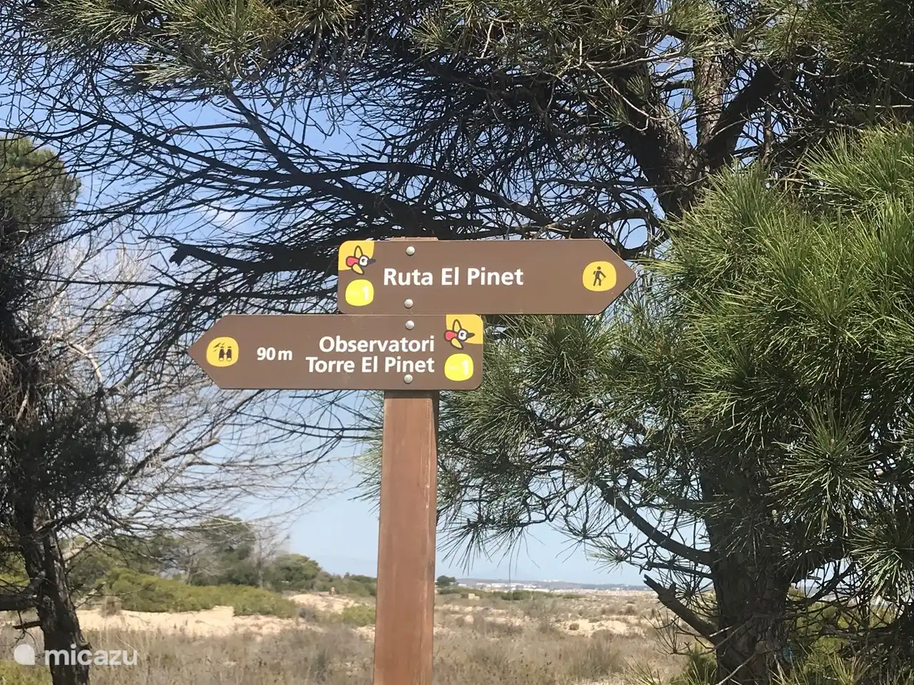 Los observadores de aves pueden darse un capricho en la zona de El Pinet, cerca de La Marina