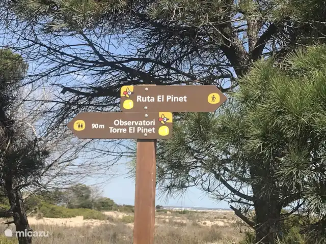 Villa Botman en España, Costa Blanca, Algorfa - villa Los observadores de aves pueden darse un capricho en la zona de El Pinet, cerca de La Marina