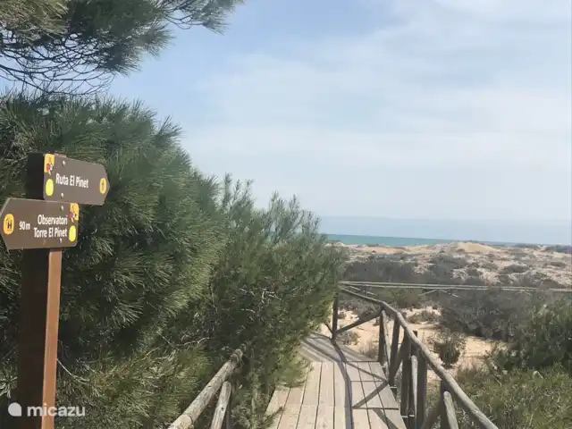 Villa Botman en España, Costa Blanca, Algorfa - villa y después puedes ir andando a la playa..
