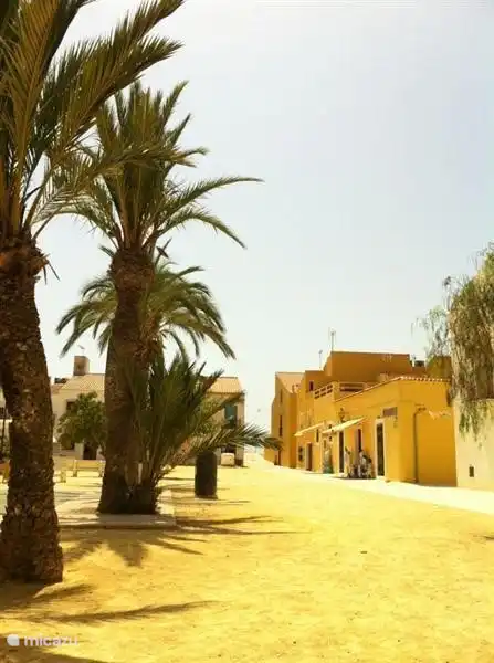 En la soleada isla de Tabarca, a 10 km de la costa de Santa Pola, desde donde sale cada media hora un ferry a esa antigua isla pirata; ¡Un hermoso paseo, luego una inmersión con snorkel y luego disfrute culinario!