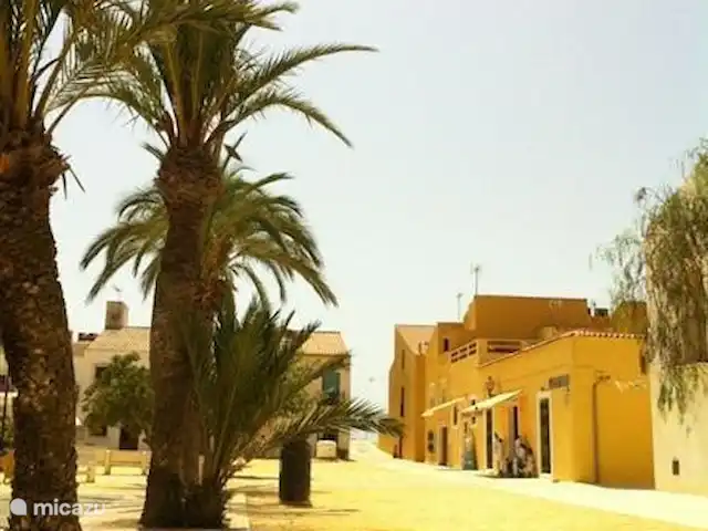 Villa Botman en España, Costa Blanca, Algorfa - villa En la soleada isla de Tabarca, a 10 km de la costa de Santa Pola, desde donde sale cada media hora un ferry a esa antigua isla pirata; ¡Un hermoso paseo, luego una inmersión con snorkel y luego disfrute culinario!