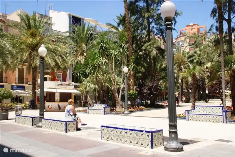 Elche es la ciudad de las palmeras: un total de 250.000 para el mismo número de habitantes.
Aquí fue encontrada la Dama de Elche, una estatua de 4000 años de antigüedad