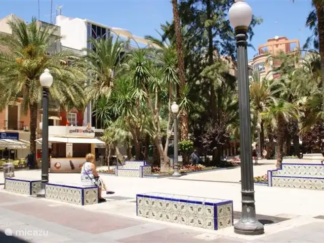 Villa Botman en España, Costa Blanca, Algorfa - villa Elche es la ciudad de las palmeras: un total de 250.000 para el mismo número de habitantes.
Aquí fue encontrada la Dama de Elche, una estatua de 4000 años de antigüedad