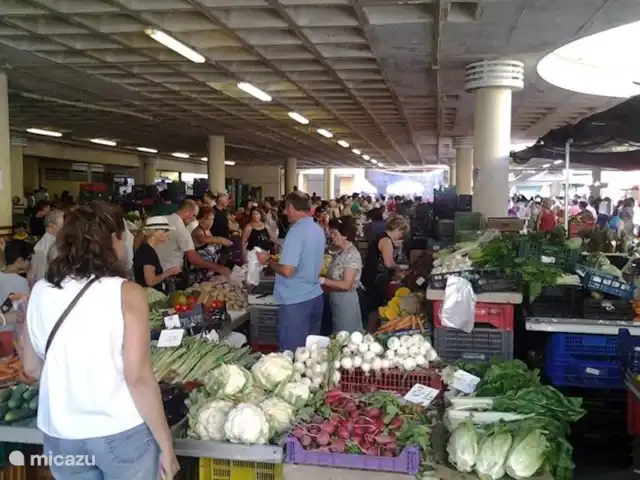 Casita Coveta Neptuno | Espagne, Costa Blanca, Coveta Fumá - maison mitoyenne L'agréable marché d'El Campello le mercredi matin. Facilement accessible en train