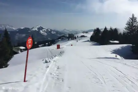 Información pistas e instalaciones de esquí - deportes de invierno