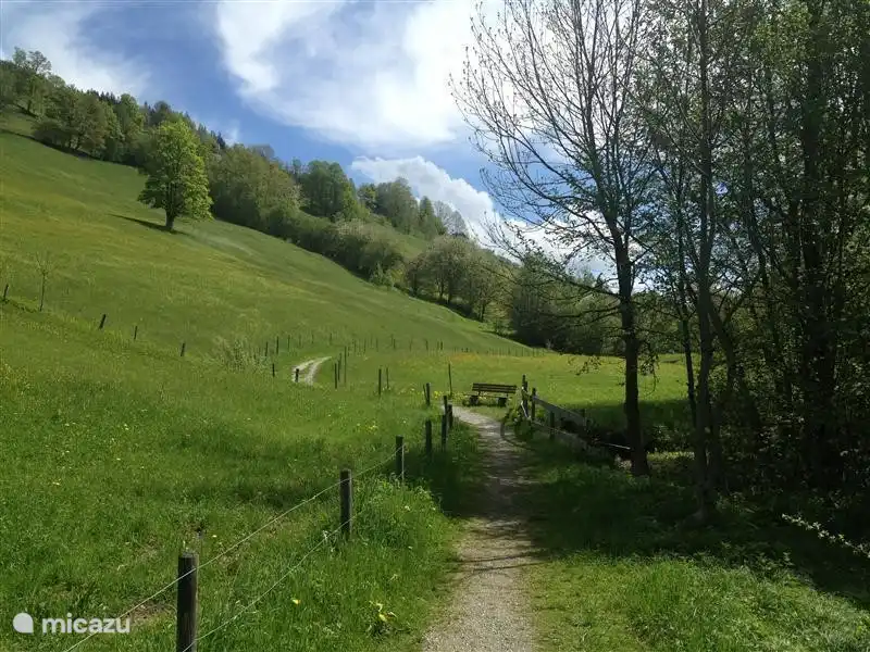 Auenweg, formerly Panorama hiking trail, directly from the apartment.