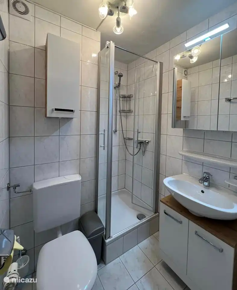 Shower, toilet, sink with furniture, mirror cabinet and lighting.