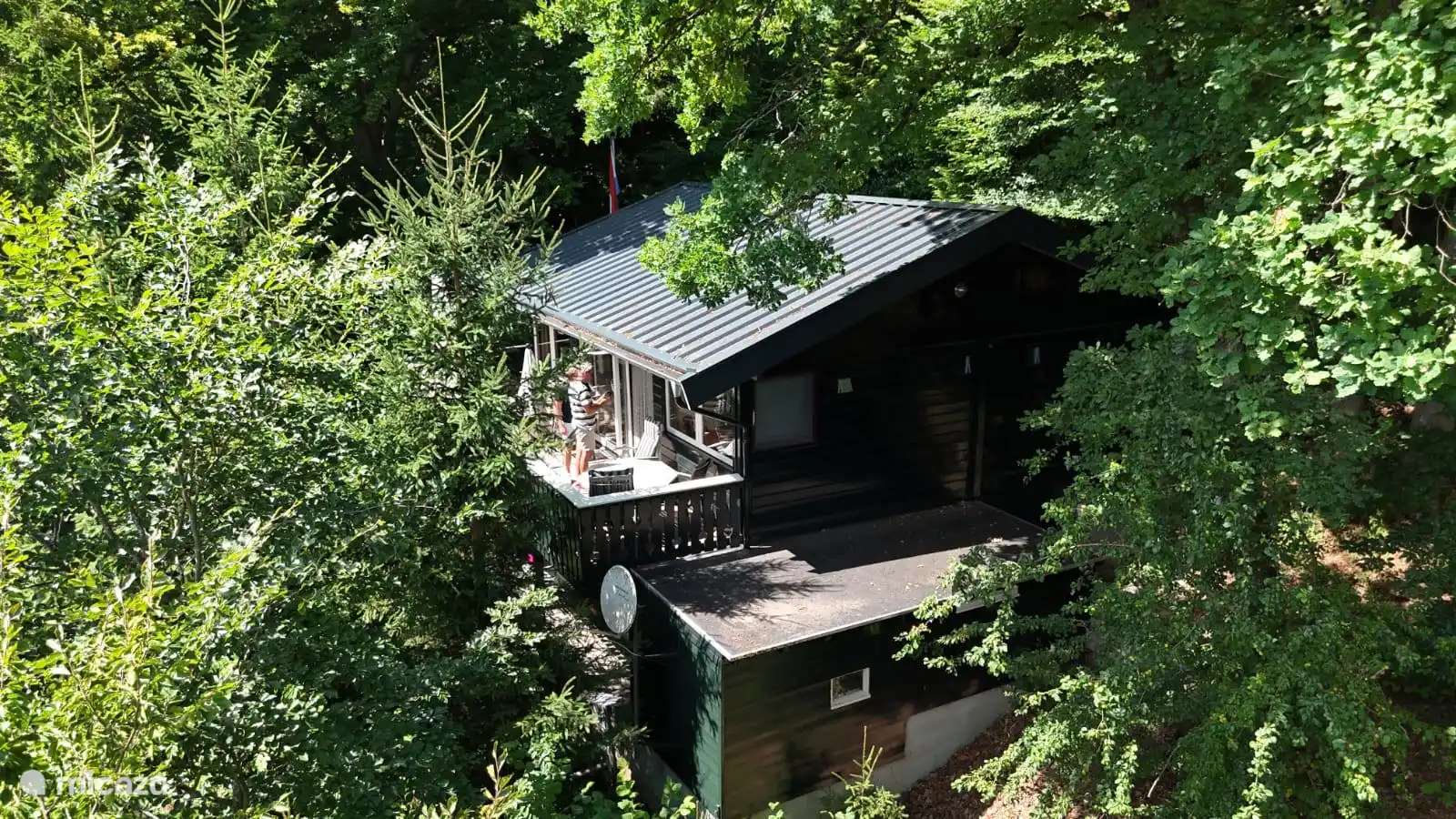 Libertad en el verde