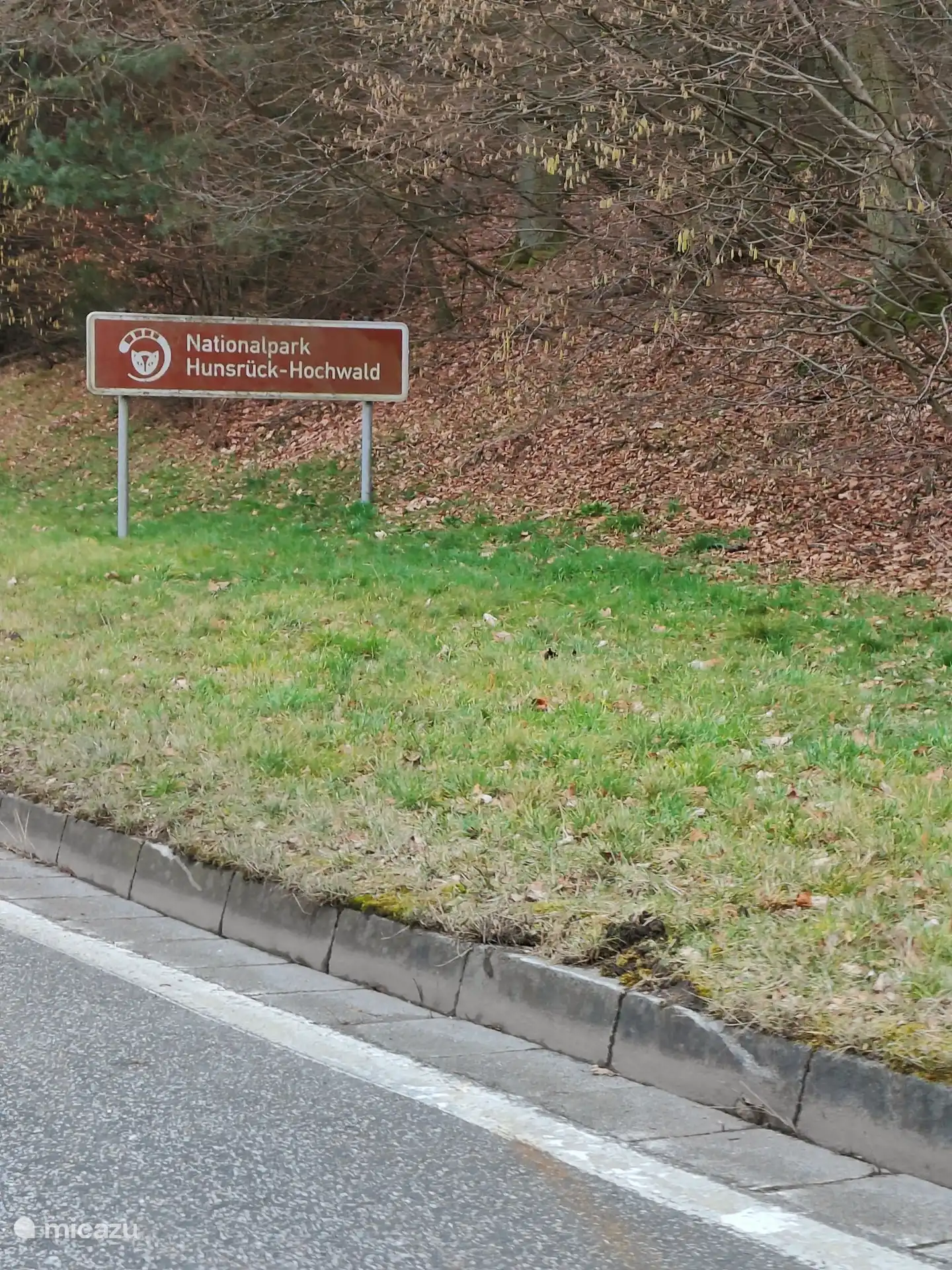 El chalet est&#225; situado en el Parque Nacional de Hunsr&#252;ck Hochwald