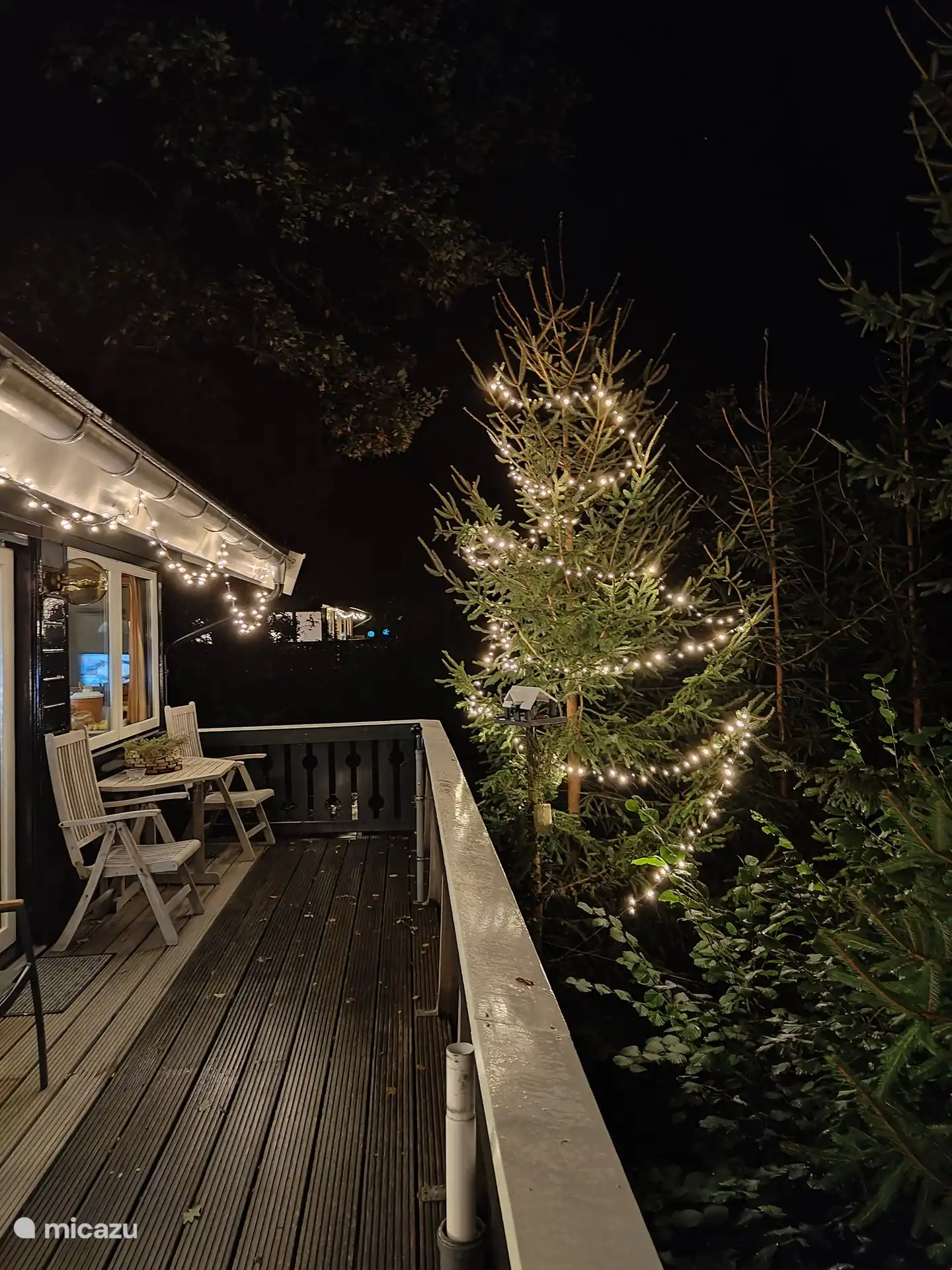 Blick am Sonne en un esp&#237;ritu navide&#241;o