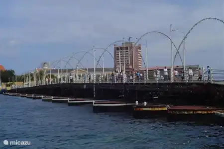 Voyages et curiosités